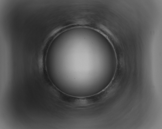 X0000100941315200806241418