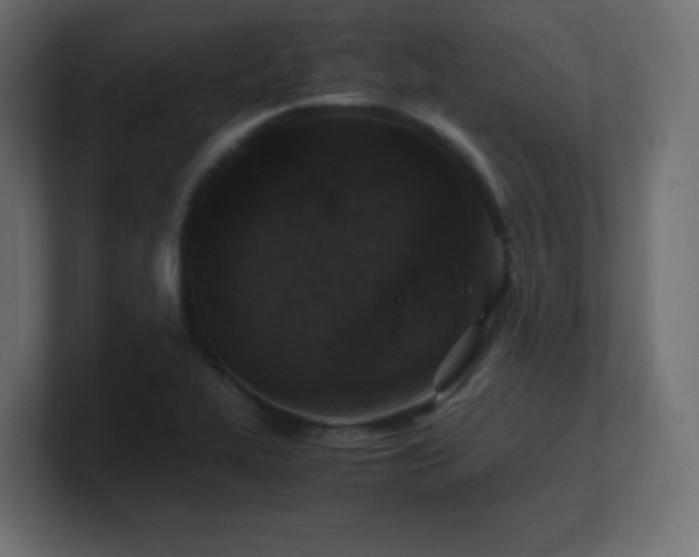 X0000100941319200806241418