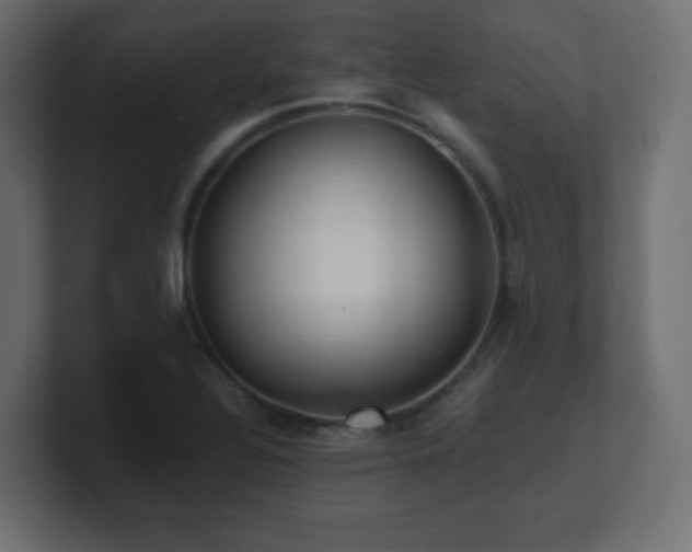X0000100941320200806241419
