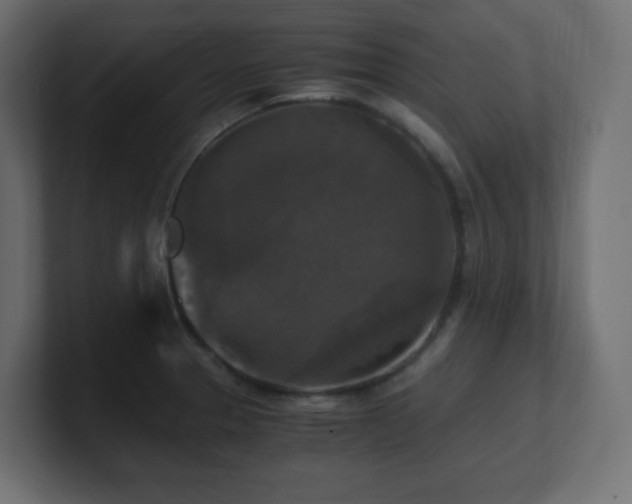 X0000100941329200806241419