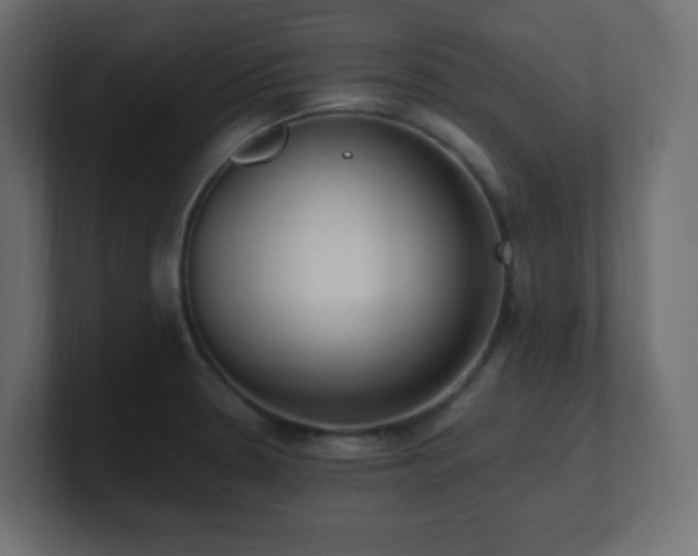 X0000100941330200806241419