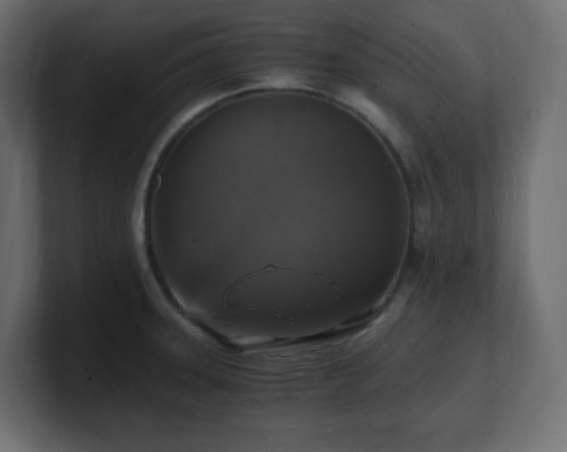 X0000100941331200806241419