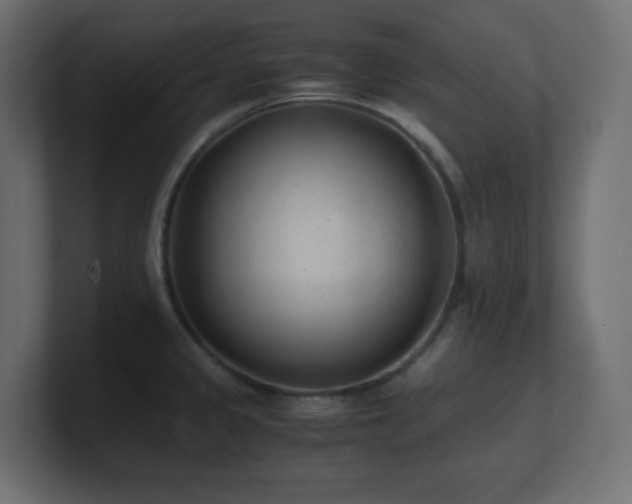 X0000100941333200806241419