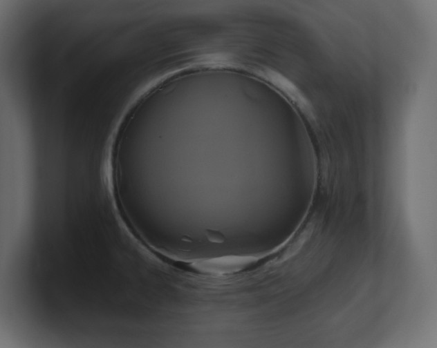 X0000100941334200806241419