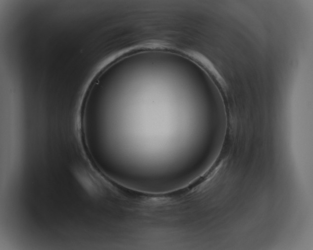 X0000100941335200806241419