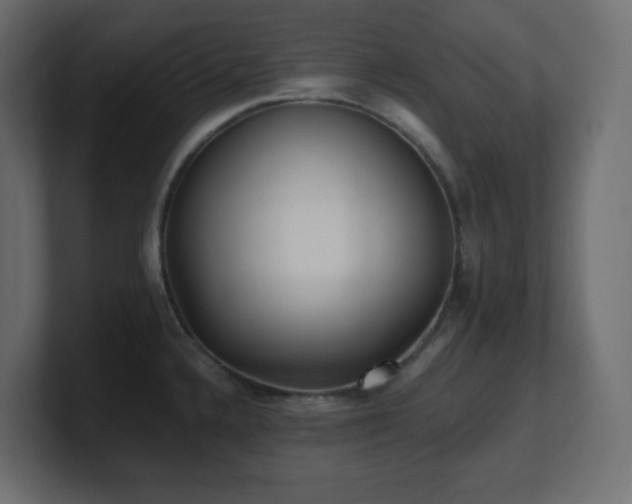 X0000100941336200806241419