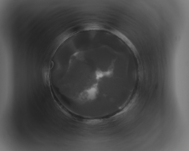 X0000100941337200806241419