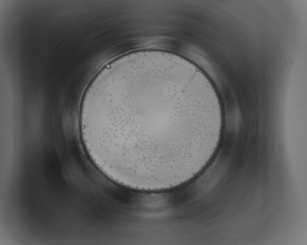 X0000100941338200806241419