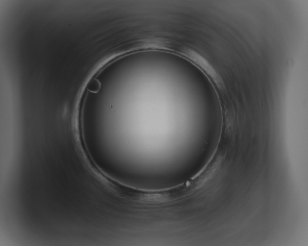 X0000100941339200806241419