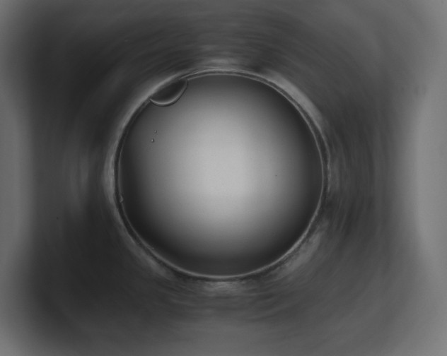 X0000100941341200806241419