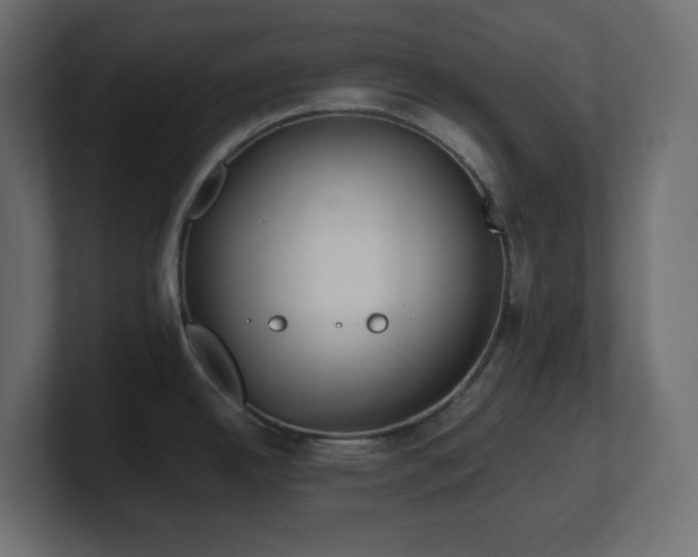 X0000100941342200806241419