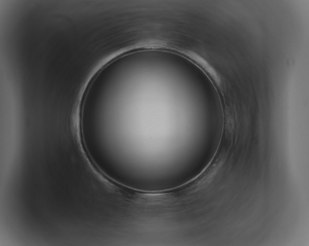X0000100941343200806241419