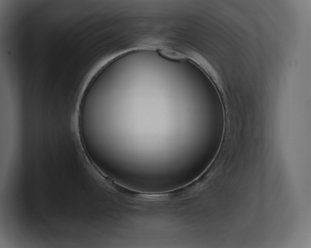 X0000100941344200806241419