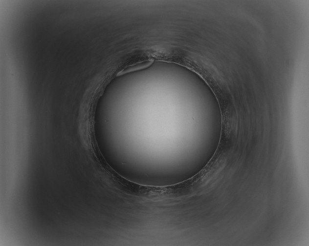 X0000100941345200806241418
