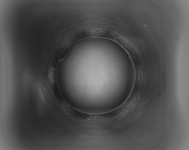 X0000100941346200806241418