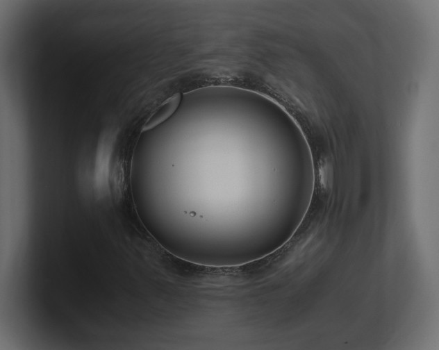 X0000100941347200806241418