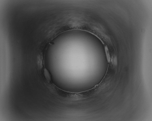 X0000100941348200806241418