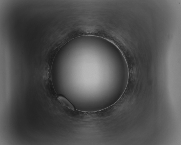 X0000100941349200806241418