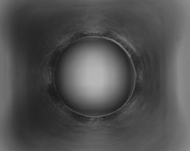 X0000100941350200806241418
