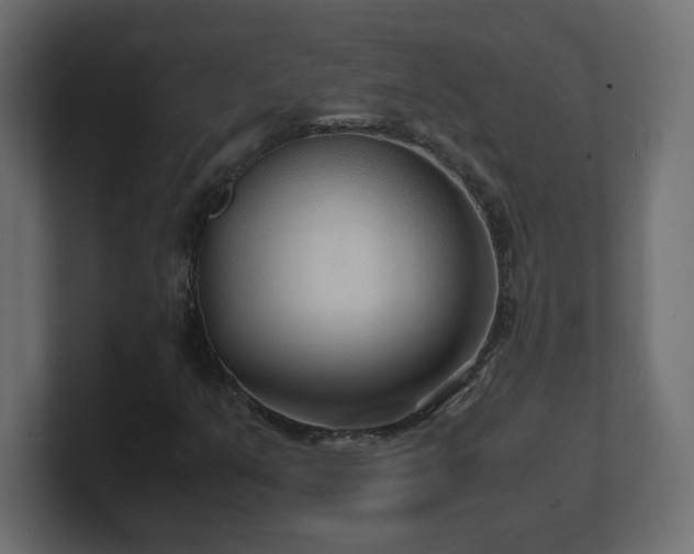 X0000100941351200806241418