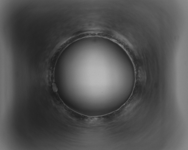 X0000100941352200806241418