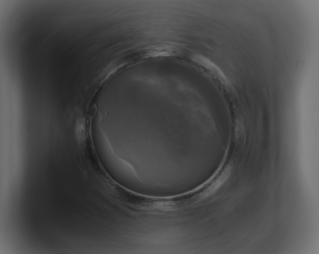 X0000100941353200806241418