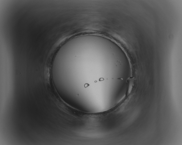 X0000100941355200806241418
