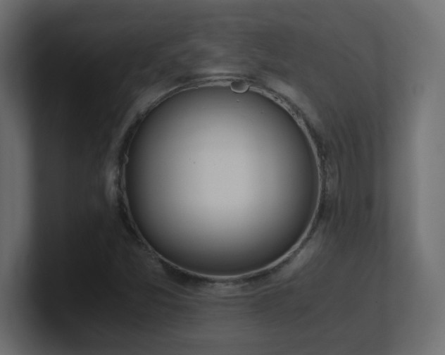 X0000100941357200806241418
