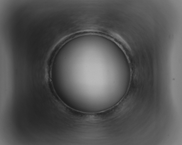 X0000100941360200806241418
