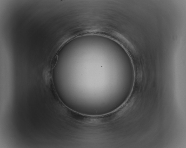 X0000100941361200806241418