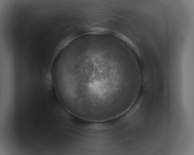 X0000100941362200806241418