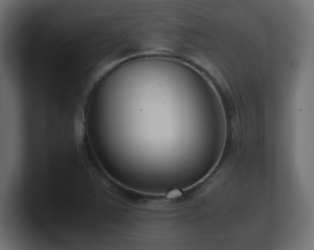 X0000100941363200806241418
