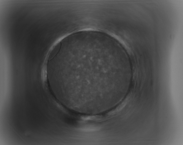 X0000100941367200806241418