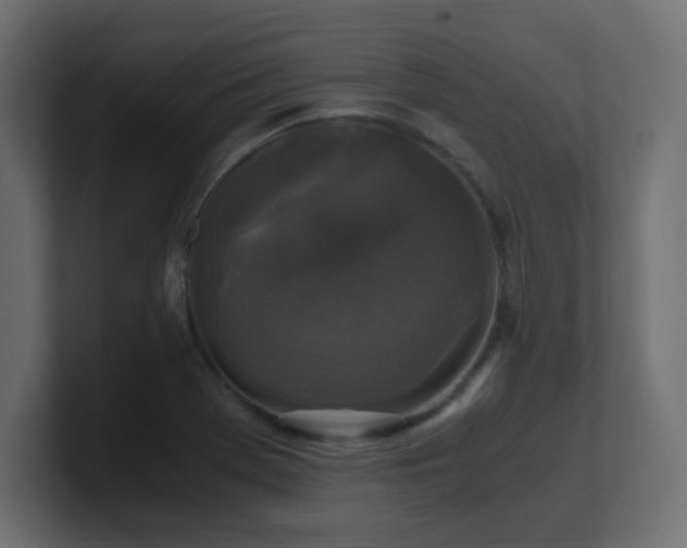 X0000100941369200806241418
