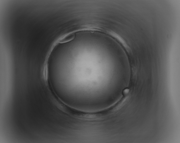 X0000100941371200806241418