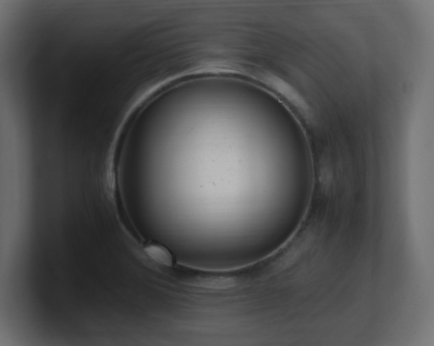 X0000100941372200806241418