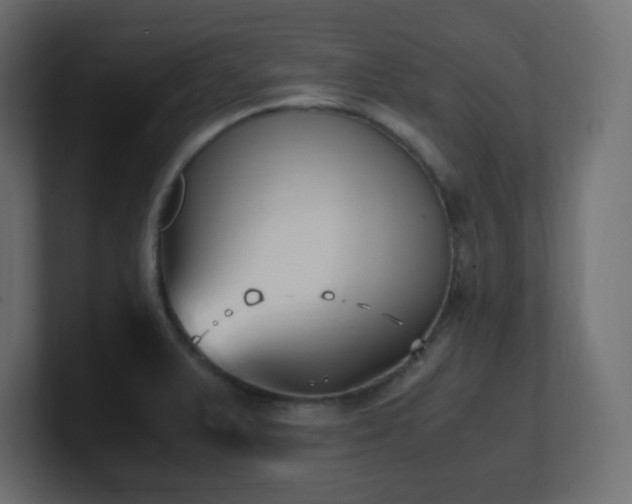 X0000100941375200806241418