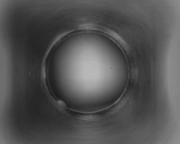 X0000100941376200806241418
