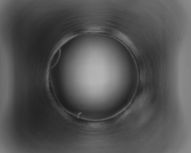 X0000100941378200806241418