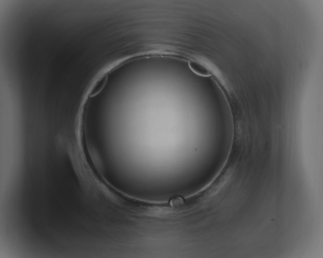 X0000100941379200806241418