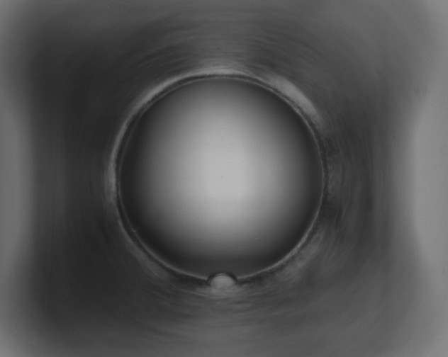 X0000100941380200806241418