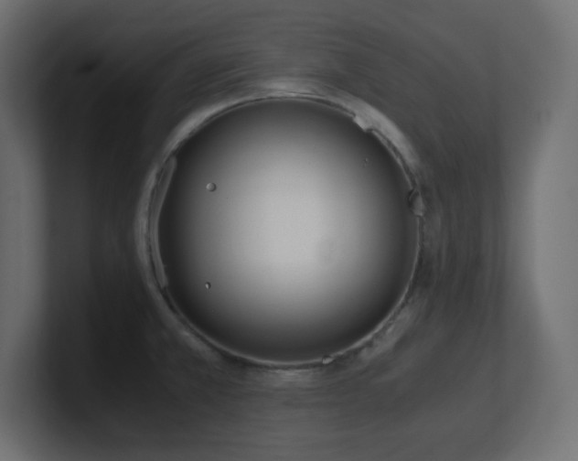 X0000100941381200806241418