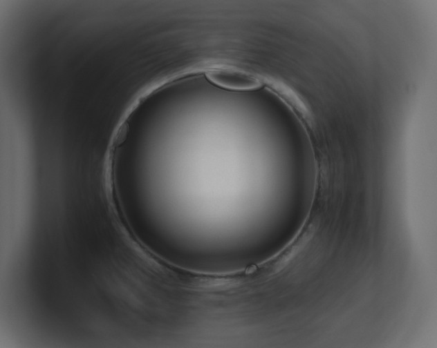 X0000100941382200806241418