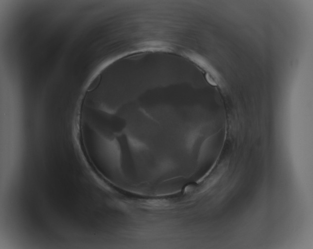 X0000100941383200806241418