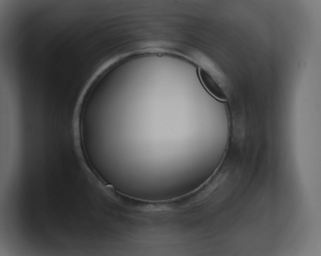 X0000100941384200806241418