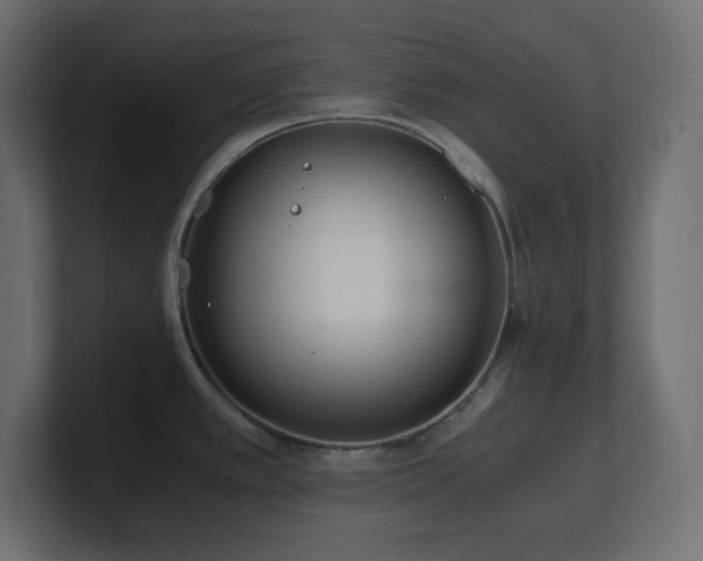 X0000100941389200806241418