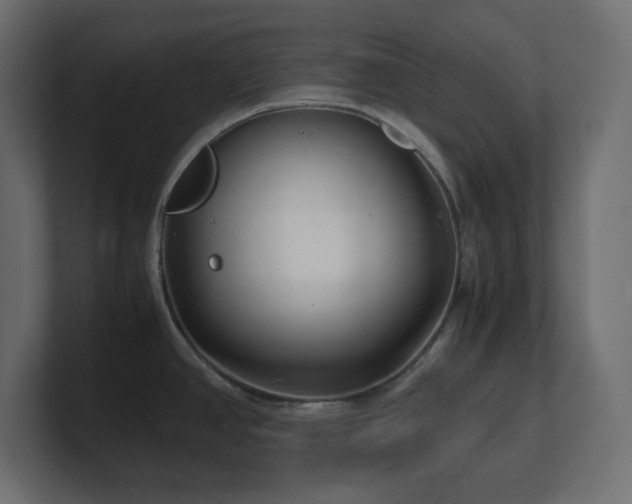 X0000100941390200806241418
