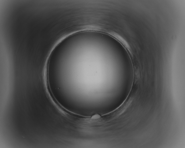 X0000100941391200806241418