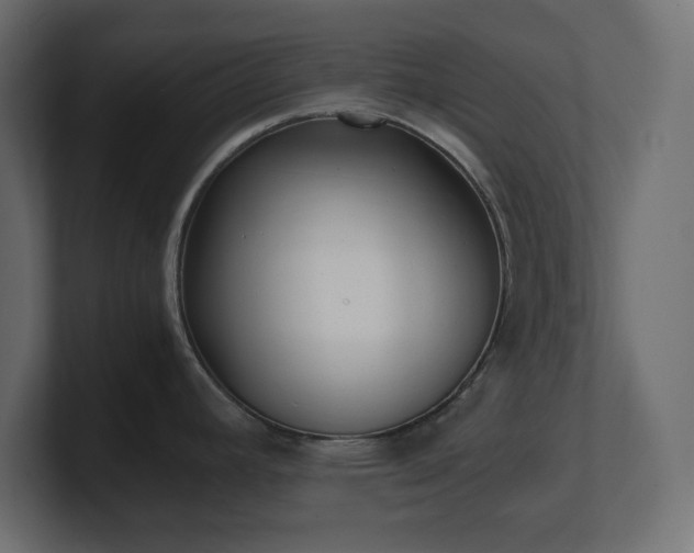 X0000100941392200806241418