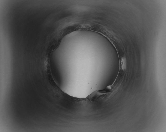 X0000100941395200806241417